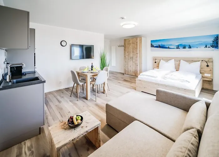 Smart Haus Diamant 708 Apartment Winterberg